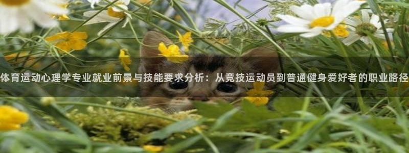 意昂体育用品