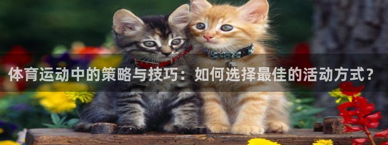 意昂体育凯捷平台招商