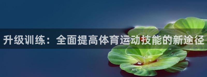 意昂2体育登录入口