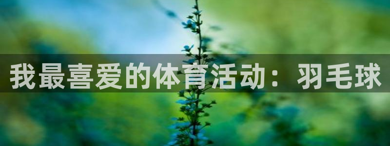 意昂3平台注册