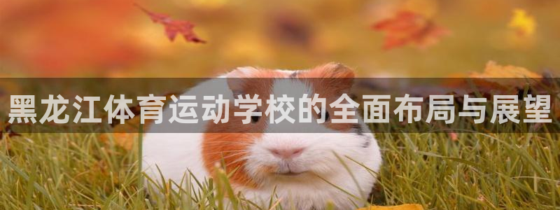 意昂2体育登录入口