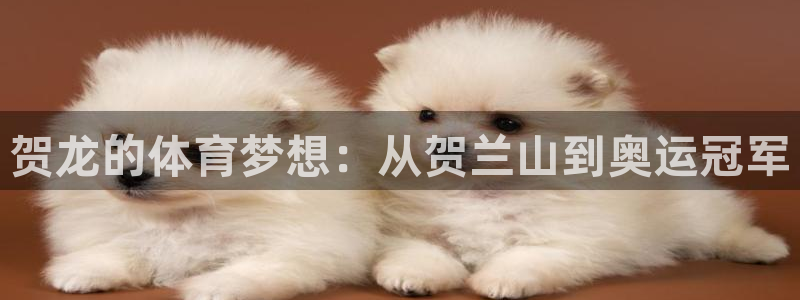 意昂体育平台注册