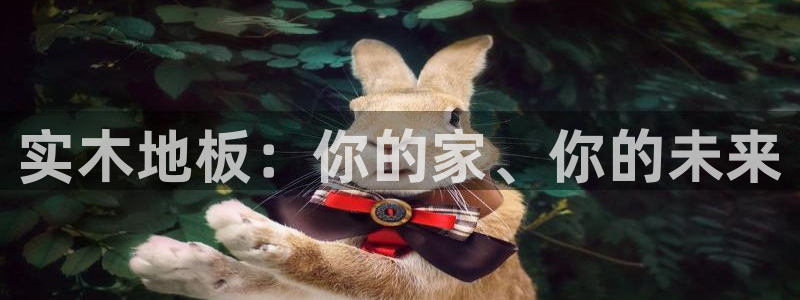 意昂官网注册