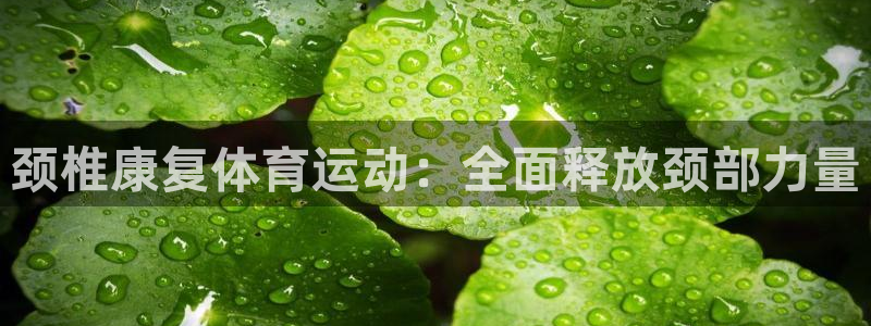 意昂凯捷平台