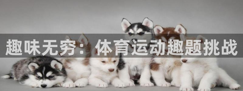 意昂体育平台登录入口