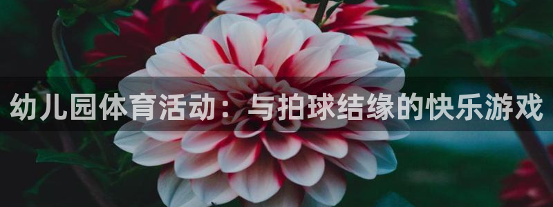 意昂3登陆