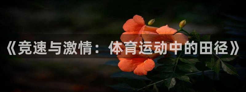 意昂kgame