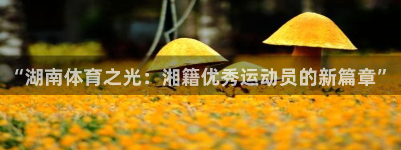 意昂体育官网注册