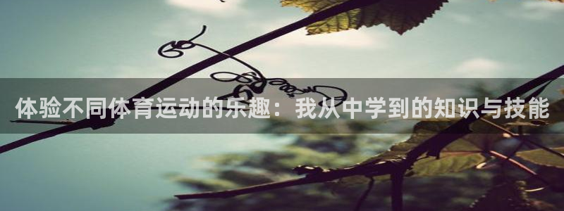 意昂登录注册