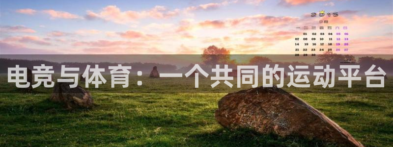 东莞市意昂电子科技有限公司