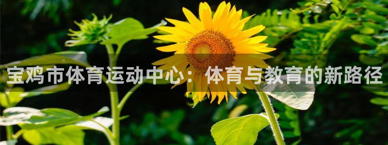 意昂集团