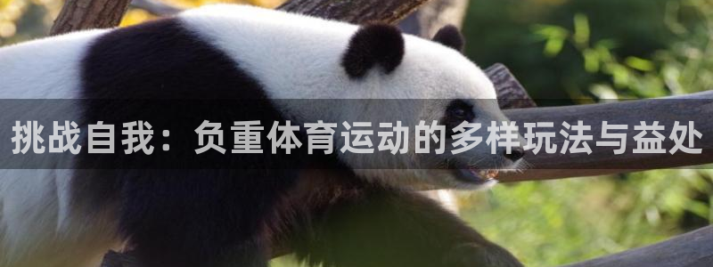 意昂体育1招商