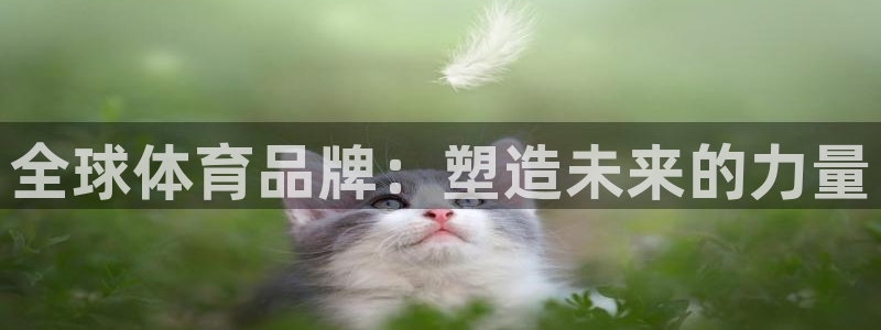 意昂招商
